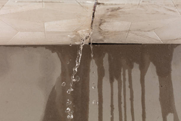 Professional Water Damage Repair technician working in Hooper, WA